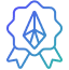 ACE Program